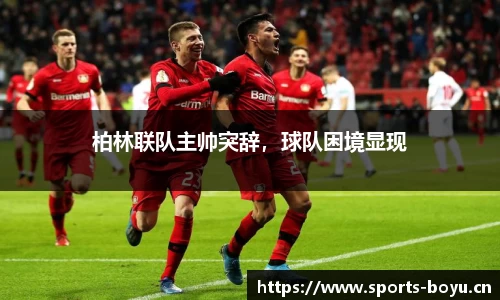 博鱼体育官网