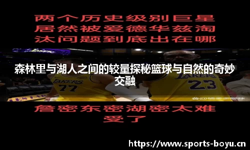 森林里与湖人之间的较量探秘篮球与自然的奇妙交融